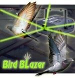 Bird X UK and Ireland (Crisp Websites Limited) 371426 Image 1
